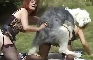 Một người phụ nữ mặc lưới đánh cá đang quan hệ tình dục với một con chó trong video khiêu dâm thú tính này